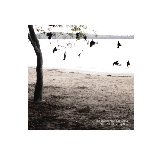 The Tallest Man On Earth (There's No Leaving Now) CD