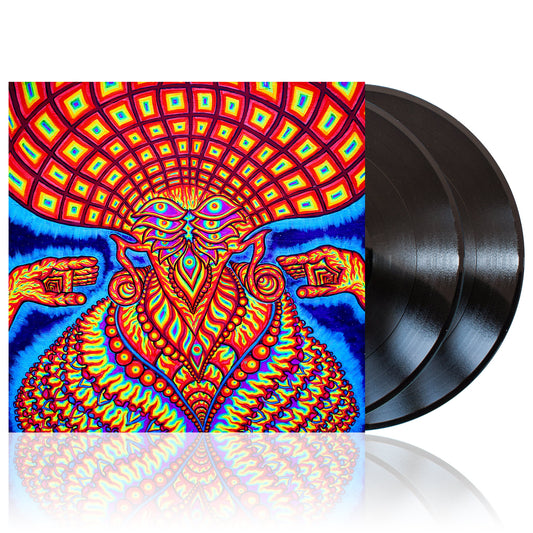 The Dream Syndicate (The Universe Inside) 2xBlack Vinyl
