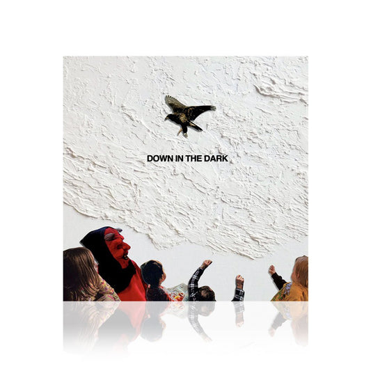 Safe To Say (Down In The Dark) CD